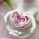 Силиконовая форма «Пион Мон Амур»
