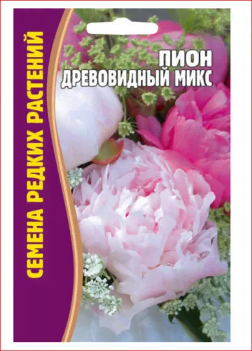 Семена Пион микс 3 шт