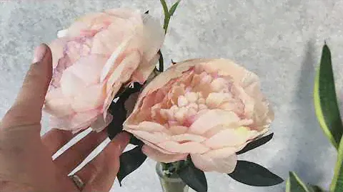 Пион 2 цветка и бутон нежно розовый