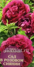 Саженцы: Пион древовидный Сад в Розовом Сиянии