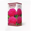 Пион молочноцветковый Августин д'Ур 2-3/Кор