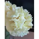 Пион WONDEROUS YELLOW