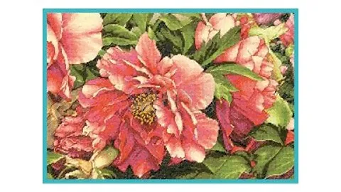 Вышивка крестом. Dimensions, Coral Peonies 70-35298. Коралловые пионы. Отчет 1