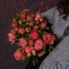 31 пион розовый