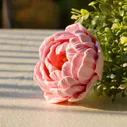 Пион закрытый форма силиконовая