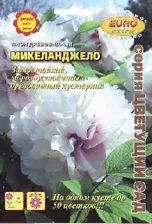Пион Микеланджело древовидный