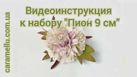 Видеоинструкция к набору "Пион 9 см"