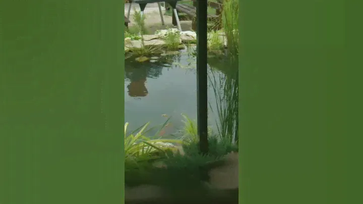 Декоративный водоём.