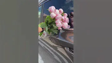 Пионы ! Сезон пионов ! Не отставайте 🤍 #букет #доставкацветовмосква #москва