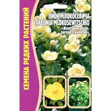 Семена Цветов Пион Млокосевича, 3 сем.