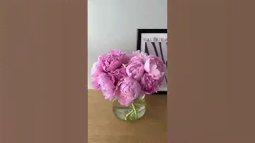 Пионы 😍