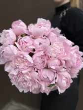 Пион розовый (265)