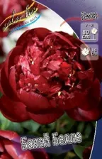 Пион молочноцветковый Buckeye Belle (C3-C5)