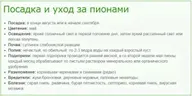 Пион древовидный Серебристый Ручей (в тубе)