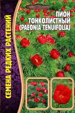 Пион Тонколистный (семена редких растений) 3 шт
