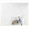 Яркий розовый пион Цветы В саду Натюрморт Для девушки Для женщины Интерьерная Раскраска картина по номерам на холсте AAAA-ST0308-1
