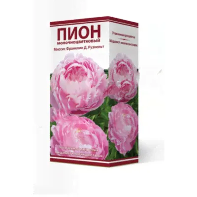 Пион Миссис Франклин Д. Рузвельт-0