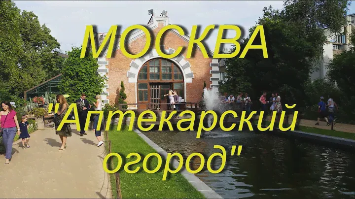 Москва. "Аптекарский огород" Ботанический сад МГУ. Выставка пионов