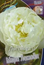 Саженцы: Пион травянистый Мари Лемуан
