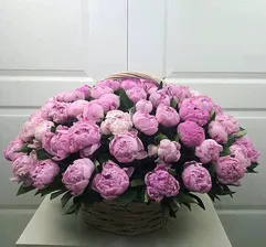 101 розовый пион в корзине