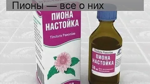 Пионы — все о них