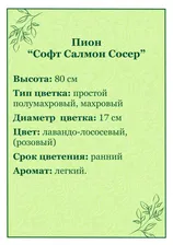 Пион Софт Салмон Сосер /1шт/
