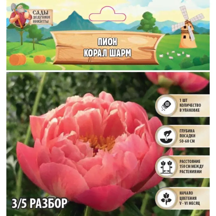 Пион "Coral Charm", р-р 3/5, 1 шт, Весна 2024