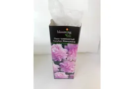 Пион Голубая Жемчужина травянистый /Дери 1шт