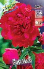 ПИОН КРАСНЫЙ (В упаковке 1 шт.) 3/5 n