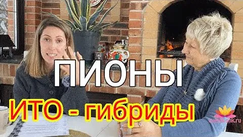 Разговор о пионах! Часть 3 / Сад Ворошиловой