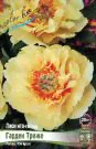 ​Пион ГАРДЕН ТРЕЖЕ ITOH GARDEN TREASURE , 2/3 n, 1 шт