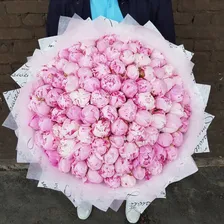 101 Розовый Пион Сара Бернар