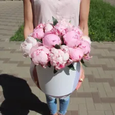 21 пион в шляпной коробке