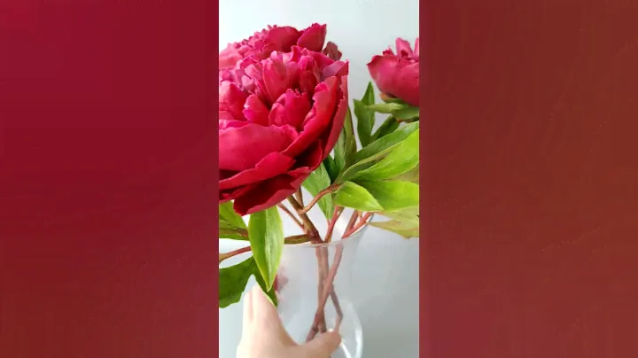 Пионы из холодного фарфора ,