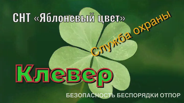 СНТ "Яблоневый цвет". Клевер.