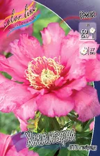 Пион древовидн. Хиллари (ИТО), 2/3n