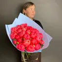 201 пион