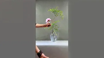 芍药承春宠，何曾羡牡丹。#flowermaking #flowermaking #flowers