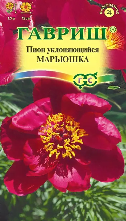 Пион Марьюшка уклоняющийся