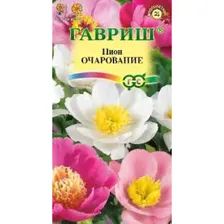 Пион молочноцветковый Очарование 3 шт (Гавриш)