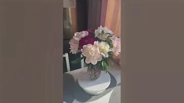 Пионы❤️