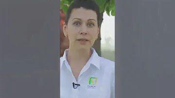 Посадка пионов осенью. Сроки посадки пионов осенью в разных регионах страны.