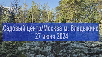 Обзор садового центра, хвойные,лиственные/ Ассортимент