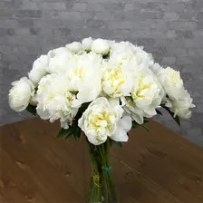 Пион белый «Дюшес де немур», Голландия