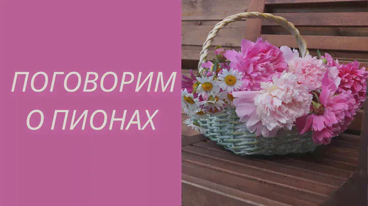 #13 #уходзапионамивесной Весенний майский день. Подготовка пионов к обильному цветению. #пионы