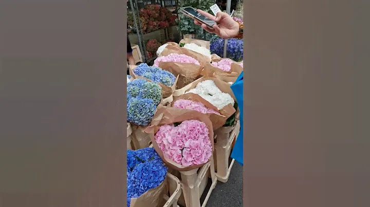 Лондон. Маркет. Розы. Пионы. Гортензии. London.  Market. Roses.  Peonies. Hydrangeas.