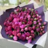 101 пион малиновый