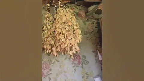 СНТ Озерки Дача часть 1