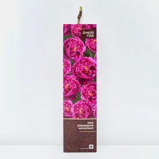 Саженец Пион древовидный Фиолетовый в тубе, 1 шт