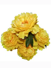 Пион арт. 3179-013